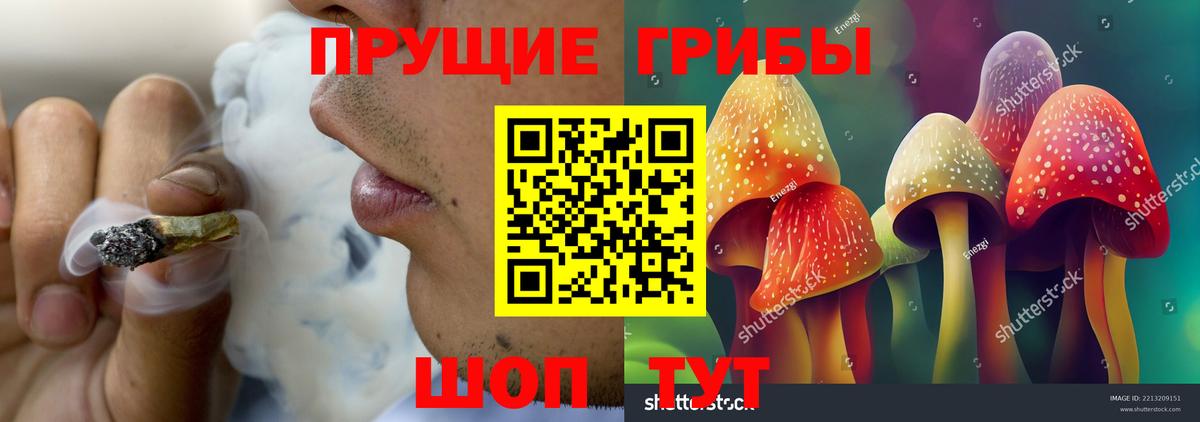 Псилоцибиновые грибы Psilocybe  как найти закладки  Вход с VPN  Видное  Псилоцибиновые грибы Cubensis 